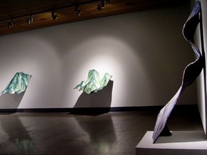 Topometry, Topology, Topography (Installation View)
