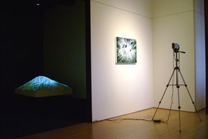 Above Rainier (Lawrimore Project Installation View)