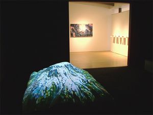 Above Rainier (Lawrimore Project Installation View)