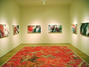 Infrared (Lawrimore Project Installation View)